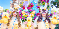 うさピヨコーデ| キャステル | CASTEL ディズニー情報