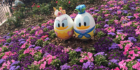 5月の混雑予想| キャステル | CASTEL ディズニー情報