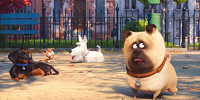 メル（右）／映画『ペット』| キャステル | CASTEL ディズニー情報