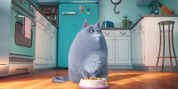 クロエ／映画『ペット』| キャステル | CASTEL ディズニー情報
