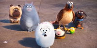 モルモットのノーマン中央右／映画『ペット』| キャステル | CASTEL ディズニー情報