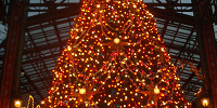 ワールドバザールの天井にまで届きそうなクリスマスツリー| キャステル | CASTEL ディズニー情報