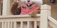 チップ| キャステル | CASTEL ディズニー情報