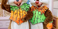 チップとデール| キャステル | CASTEL ディズニー情報