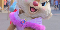 クラリス| キャステル | CASTEL ディズニー情報