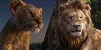 実写版『ライオン・キング』続編：アニメ版と実写版の違い| キャステル | CASTEL ディズニー情報
