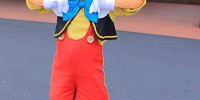 ピノキオ| キャステル | CASTEL ディズニー情報