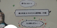 こんなふうに、実話をストーリー仕立てにすることが可能です。| キャステル | CASTEL ディズニー情報