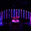 アートアクアリウム美術館 GINZAを徹底解説！金魚×芸術の展覧会！おすすめの写真の撮り方も！