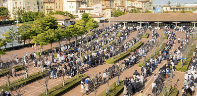 22年2月 ディズニーシーの混雑状況と現地レポ アトラクション レストラン ショップの