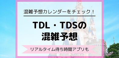 ディズニー混雑予想 年のtdl Tds月別待ち時間 リアルタイム待ち時間アプリも