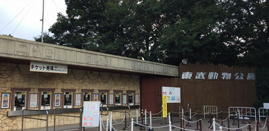 東武動物公園 車で行くなら西ゲート 駐車場 動物園 プールへの行き方