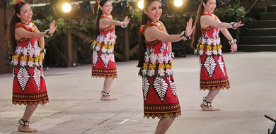 最新 ハワイアンズの料金まとめ チケット アクティビティ エステ 個室使用時の追加料金も