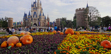 19秋 9月のディズニーの服装まとめ 気温 天気別のおすすめは