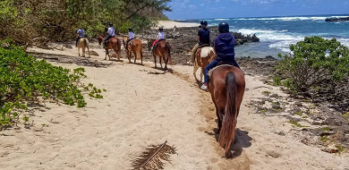 【ハワイ】乗馬が楽しめる人気スポット3選！大自然を馬と冒険するおすすめアクティビティ♪