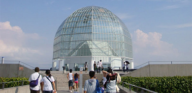 【最新】葛西臨海公園内の水族館まるわかりガイド！葛西臨海水族園の入園料やアクセス情報まとめ！