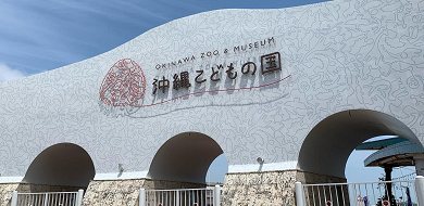 【沖縄】日本最南端の動物園「沖縄こどもの国」でワクワク体験！家族におすすめの7つの楽しみ方を紹介