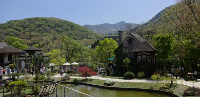 【1泊2日】箱根女子旅モデルコース！美術館・足湯カフェ・神社を巡る旅！