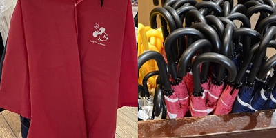 【雨の日のディズニー】傘orカッパどっちがおすすめ？それぞれのメリットとデメリット◎