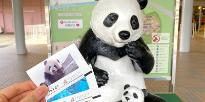 アドベンチャーワールドのチケットはコンビニで買える？購入方法や割引の有無についても解説！