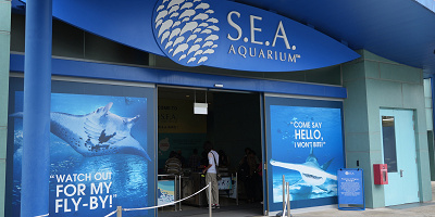 【シンガポール】シーアクアリウム 完全攻略ガイド！アクセス＆チケット割引も！