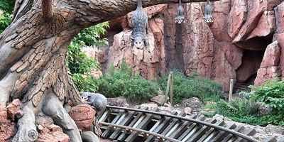 【ディズニー】オポッサムってどんなキャラクター？登場アトラクションやグッズを紹介