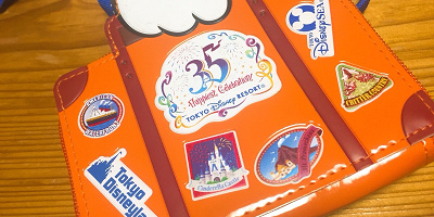 【体験レポ】ディズニー35周年バケーションパッケージ！オリジナルグッズ・特典・ショーなど