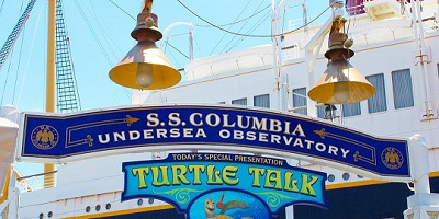 クラッシュと会話ができる！？タートル・トークのまとめ