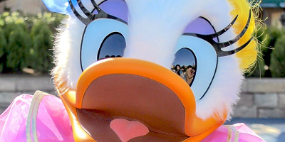 デイジーのプロフィール！誕生日や性格は？ドナルドとの関係やディズニーで会える場所も！