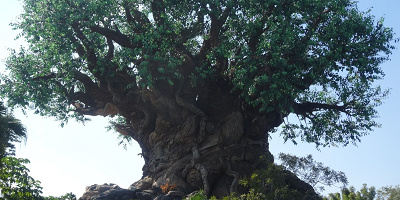 WDW「アニマルキングダム」完結編。おすすめアトラクションとショー