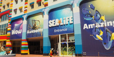 シーライフ名古屋に行ってみた！レゴランドの水族館の料金・エリア・魚の種類まとめ！子連れにおすすめ！