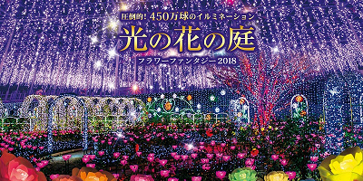 【2018-2019】あしかがフラワーパークのイルミネーションの料金＆期間！アクセス方法＆見どころ！