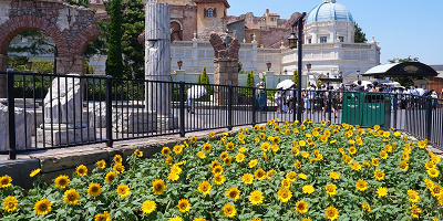 【2025夏】ディズニー熱中症まとめ！暑さ対策グッズ紹介も！