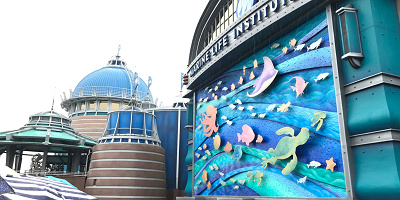 映画『ファインディング・ニモ』あらすじ&ネタバレ！登場キャラクターや声優まとめ！