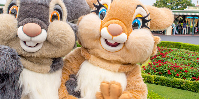 【2019】ディズニーのとんすけ＆ミスバニーグッズ7選！パスケース・ヘアバンド・キャップ・ストラップがかわいい！