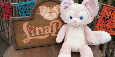 【子連れディズニー】ディズニーに離乳食は持ち込める？温めOK？はさみは持ち込める？