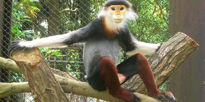 【2019】よこはま動物園ズーラシア完全ガイド！料金＆8つのエリアまとめ！ズーラシアの魅力を徹底解説！