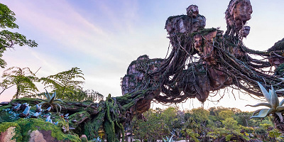 【フロリダディズニー】2つのアバターアトラクションまとめ！待ち時間の楽しみ方やアトラクション内容も