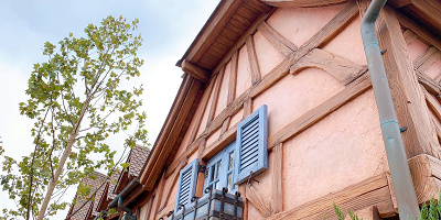 【最新】東京ディズニーランド新エリアが2020年にオープン！「ニューファンタジーランド」まとめ！