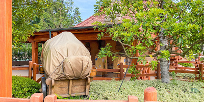 【速報】ディズニーランド新エリアが9/28にオープン決定！美女と野獣のアトラクションなどが登場！