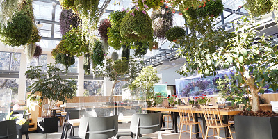 【よみうりランド】HANA・BIYORI（はなびより）を解説！入場料、展示内容、人気の園内スタバ情報も！