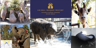 【3/23オープン！】市原ぞうの国がリニューアル！姉妹園を統合してアニマル・ワンダー・リゾウトへ！