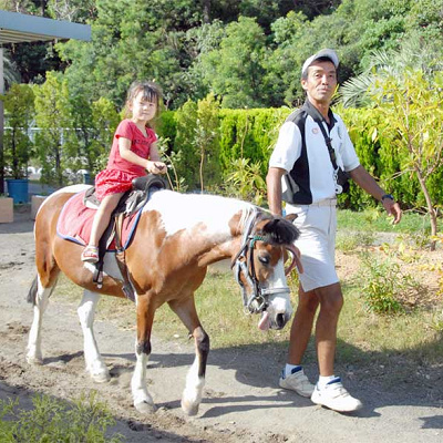 ポニー乗馬体験