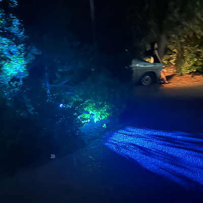 禁じられた森の雰囲気に