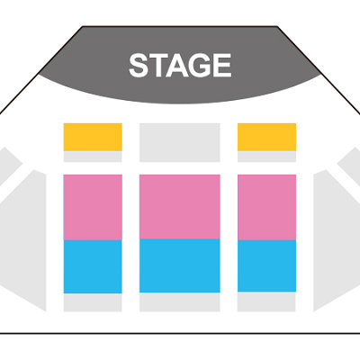 鑑賞エリア：青色がプレミアアクセス、ピンクはバケーションパッケージ、黄色はファンダフルディズニー