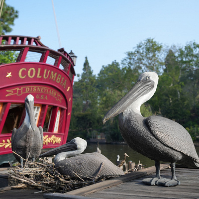 カリフォルニアアナハイムディズニー：公式アプリもチェック！