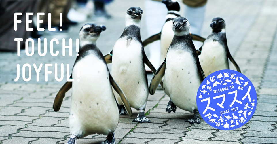 神戸 須磨海浜水族園のリニューアル情報まとめ 再開後はシャチがやってくる 休館