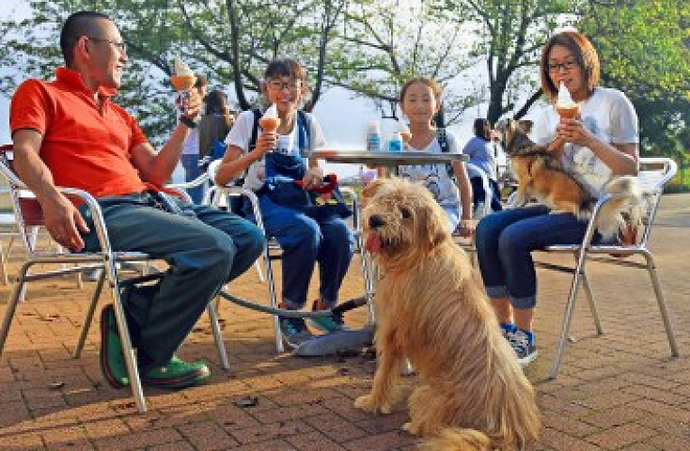 マザー牧場 犬連れok ワンちゃんと一緒に使える施設 楽しみ方まとめ