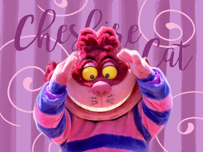チェシャ猫グッズ選 ディズニーランド シーで買える ふしぎの国のアリス