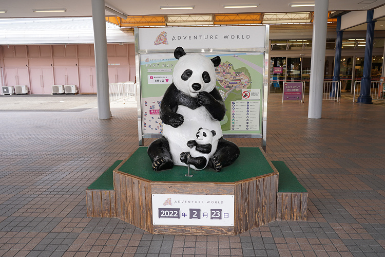 和歌山 アドベンチャーワールド完全ガイド 基本情報とおすすめポイントまとめ パンダがかわいい